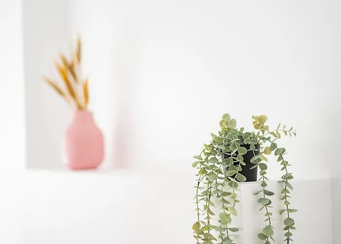 Apartmento Tilos Ii Ferrol